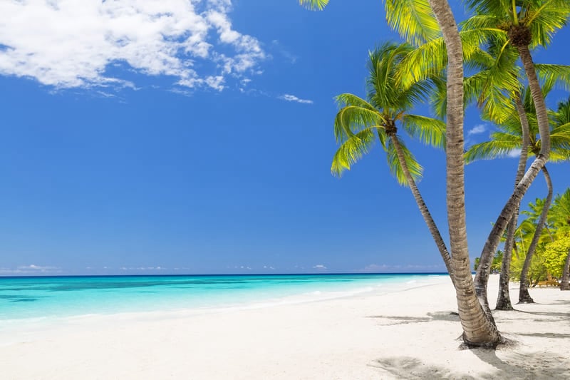 Zoymar Saona Tours