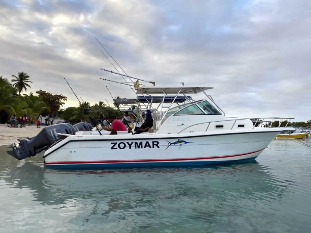 Zoymar Saona Tours