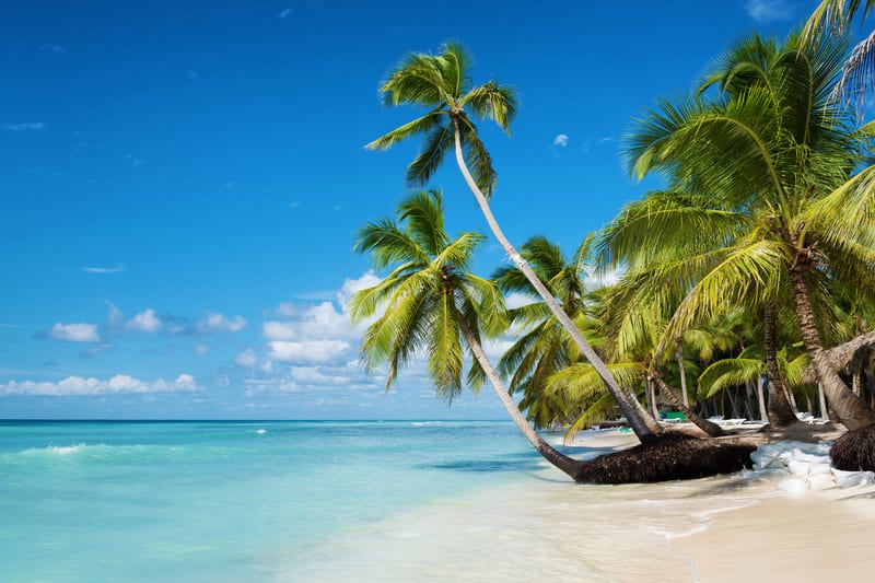 Zoymar Saona Tours